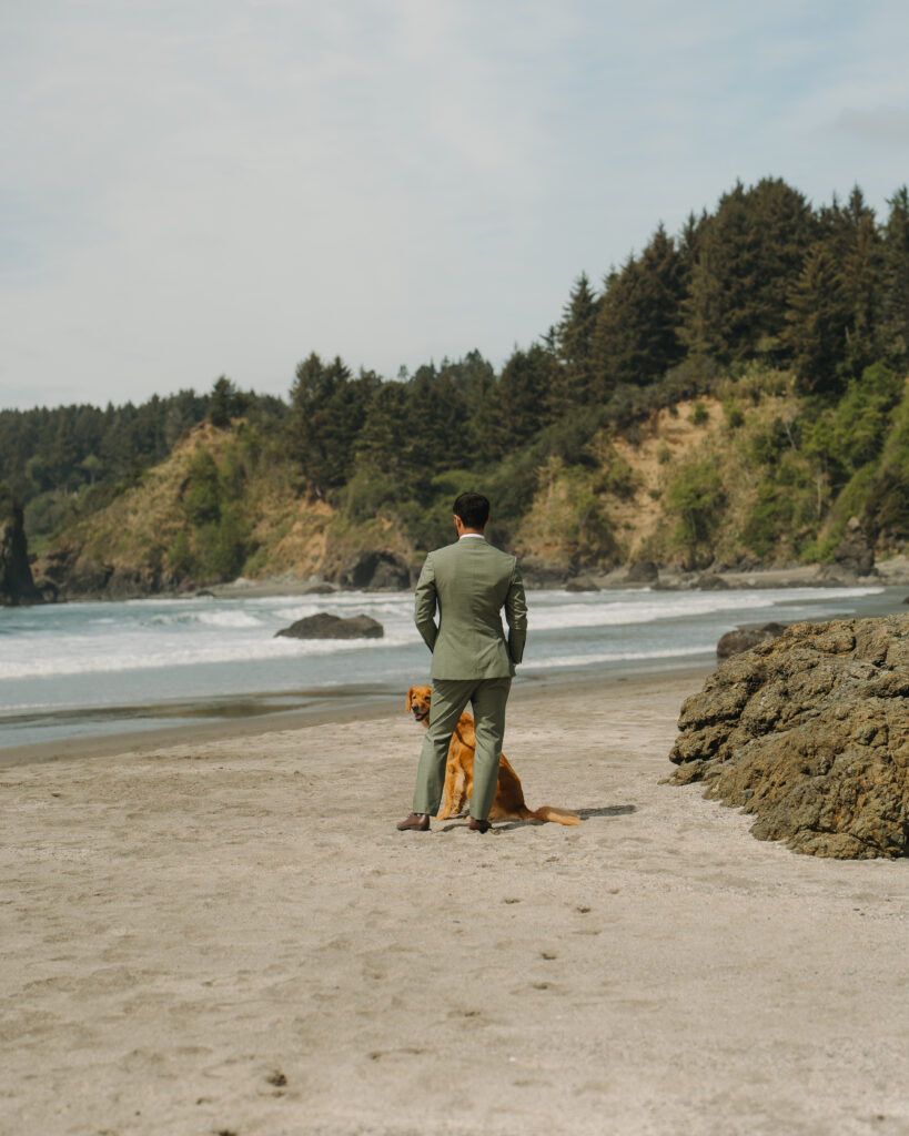First Look at Redwoods Beach