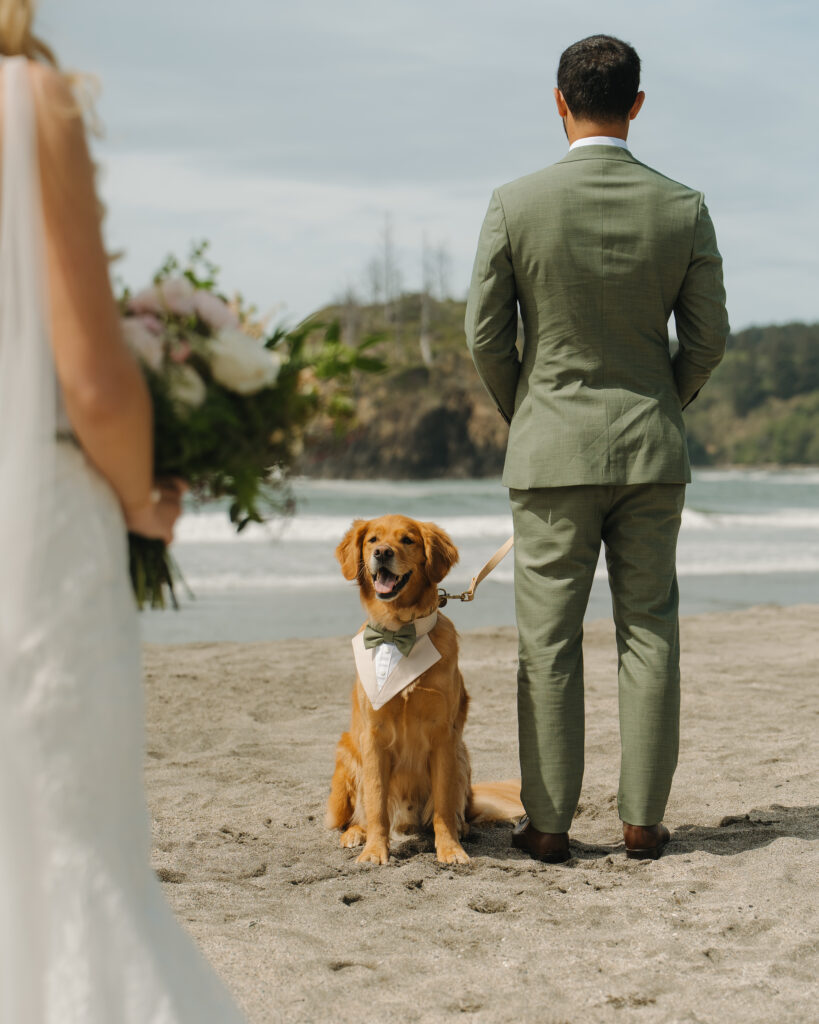 First Look at Redwoods Beach