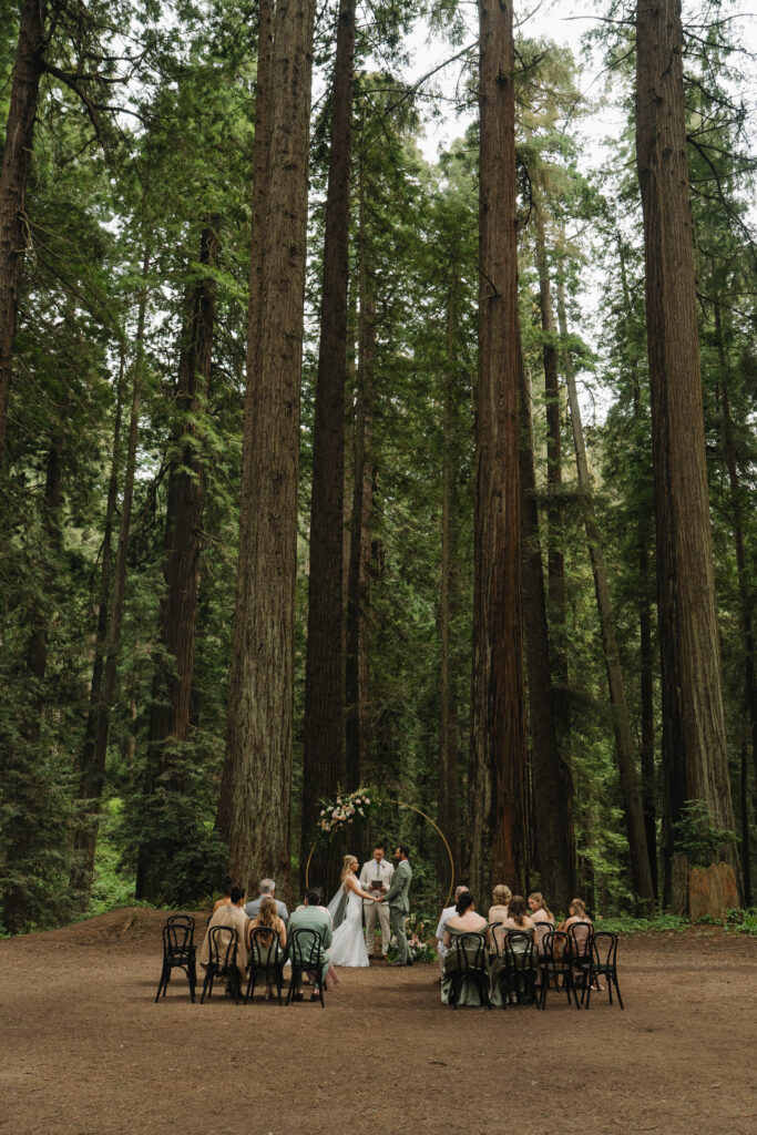 Redwoods Wedding