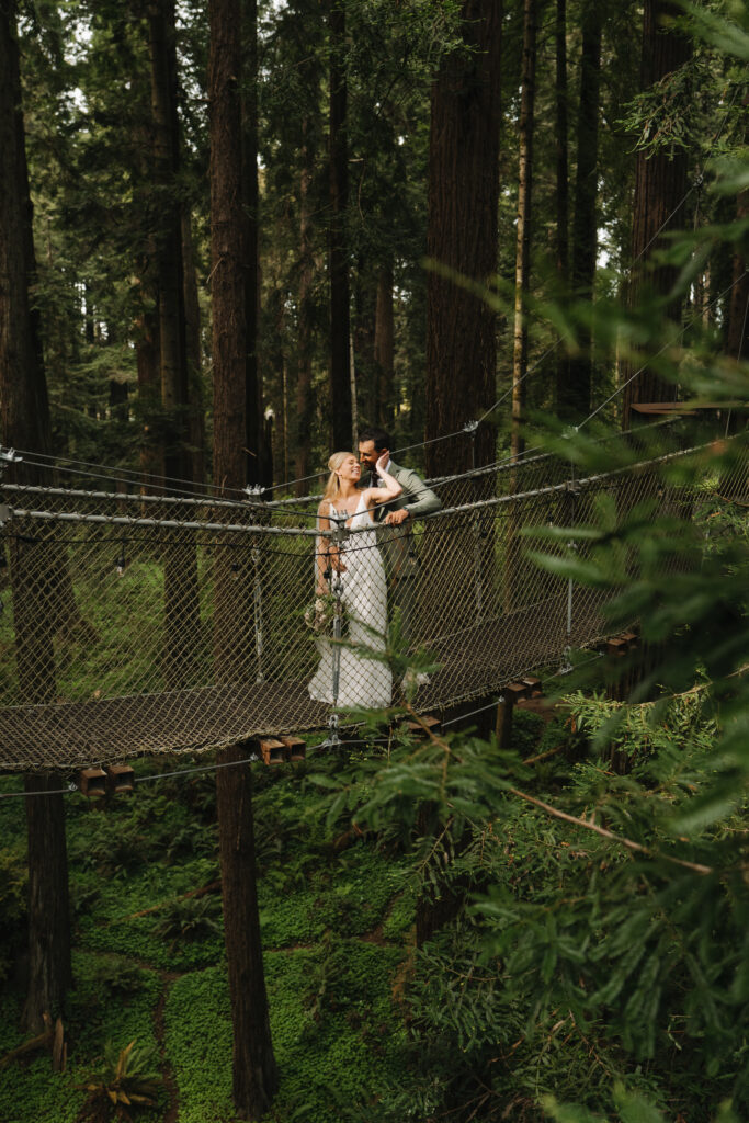Skywalk Redwoods Elopement