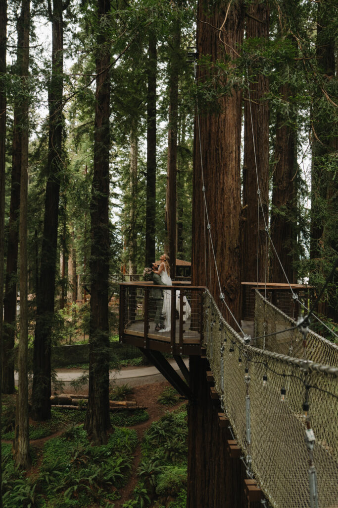 Skywalk Redwoods Elopement