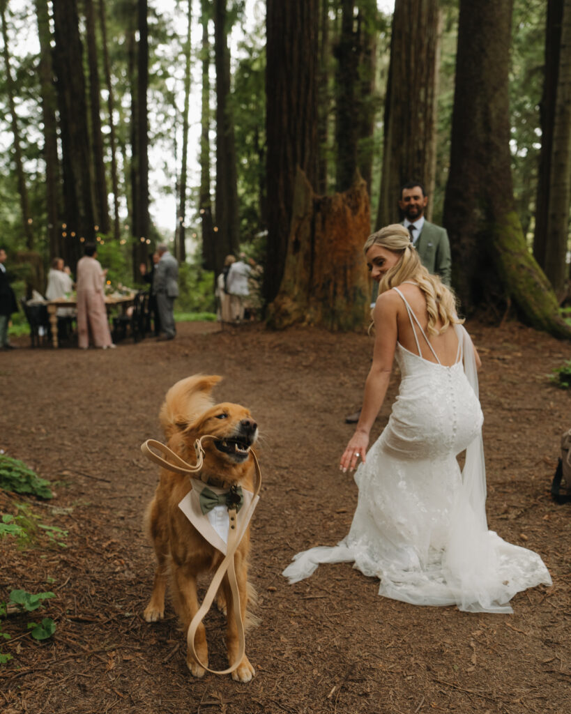 Redwoods Wedding with dog