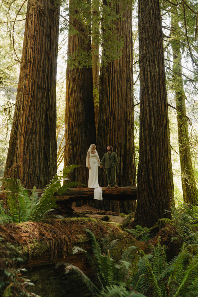 Redwoods Elopement