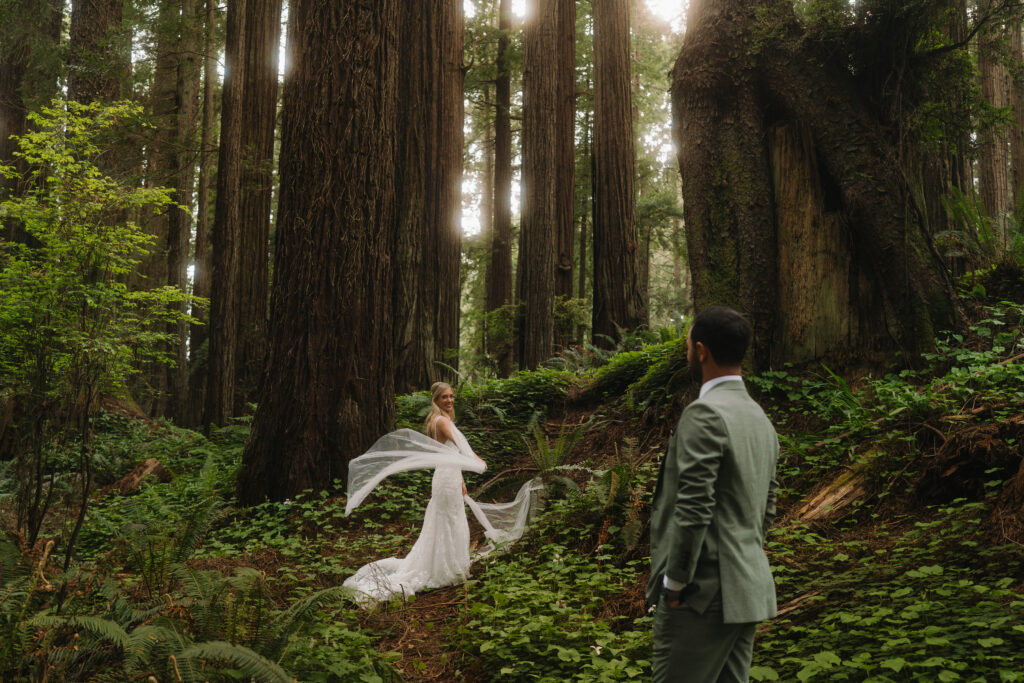 Redwoods Elopement