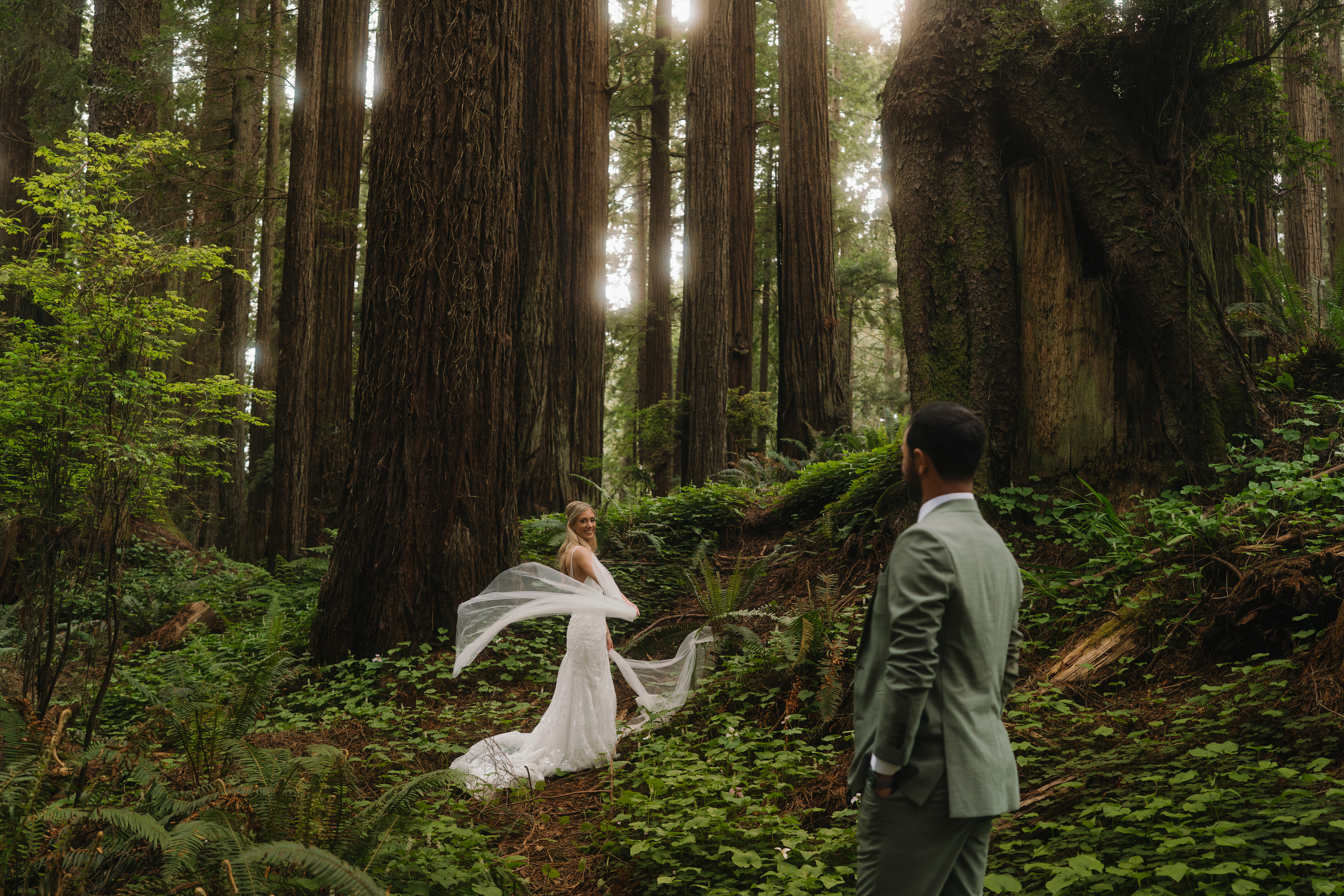 Redwoods Elopement
