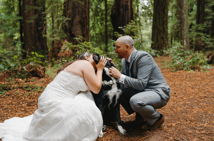 dog friendly redwoods elopement