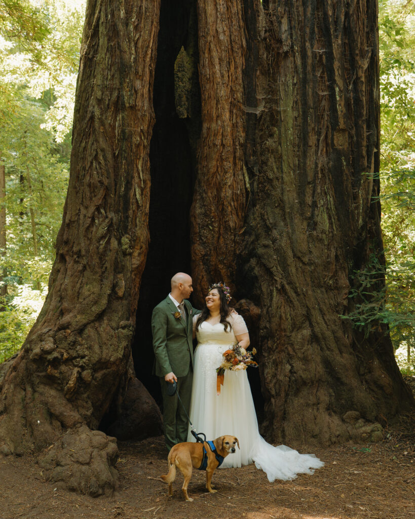 redwoods elopement with dog