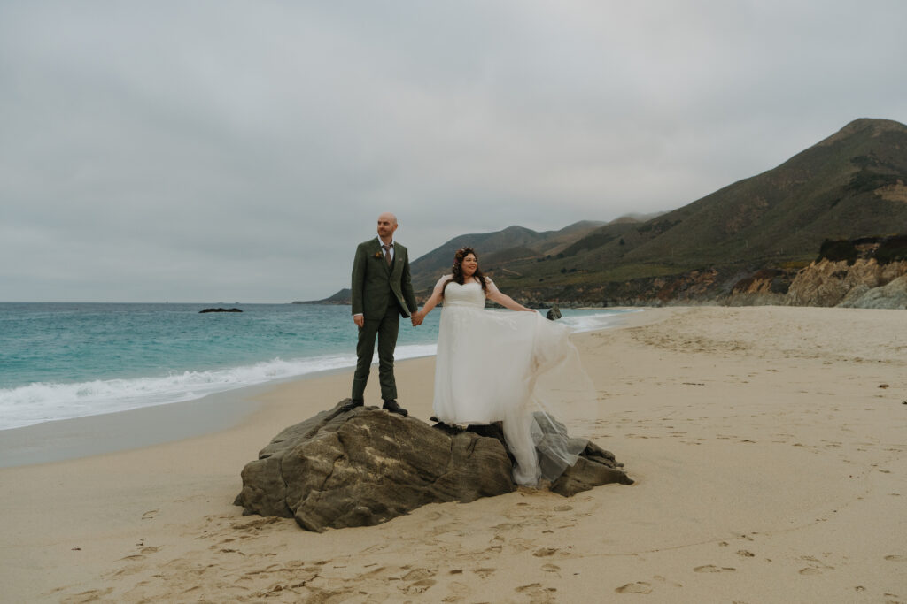 big sur elopement with dog