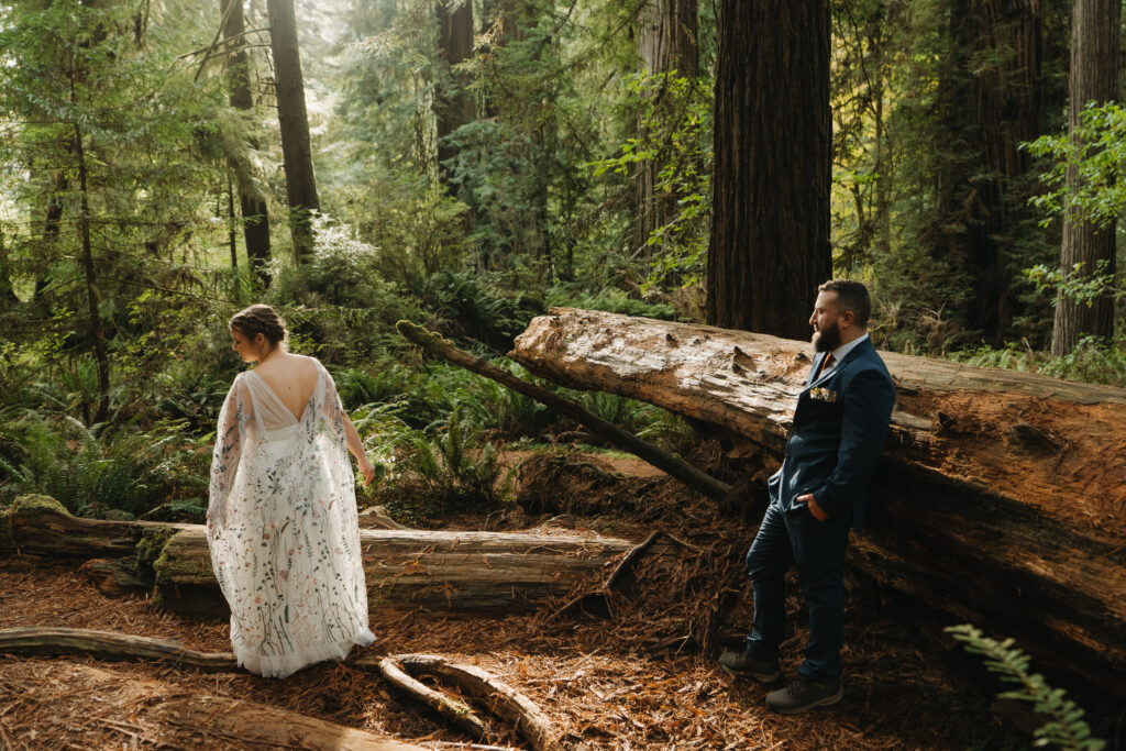 Redwoods Elopement