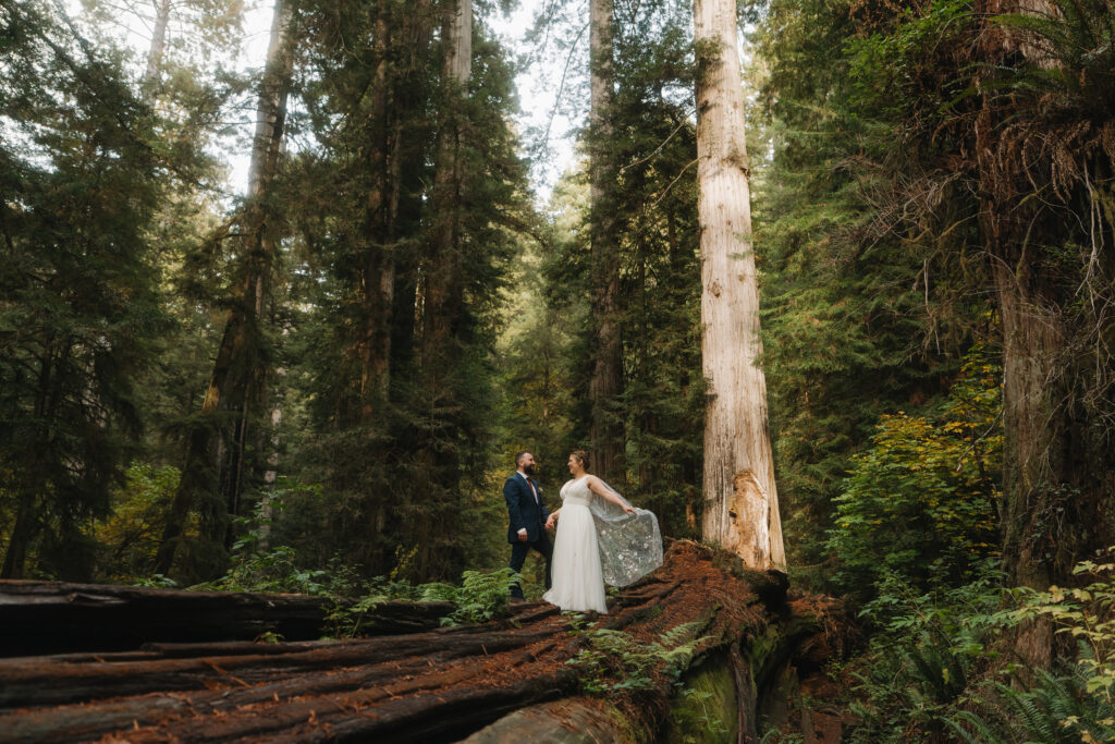 Redwoods Elopement