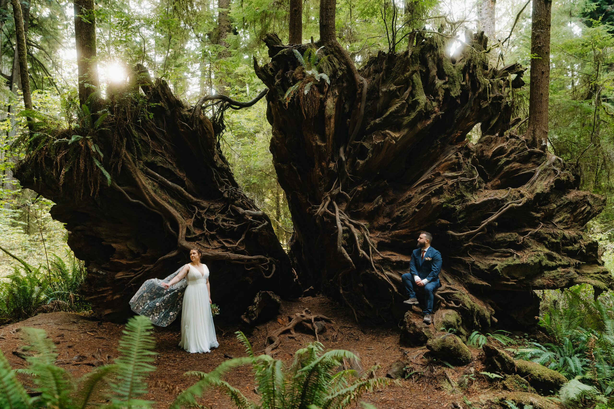 Redwoods Elopement