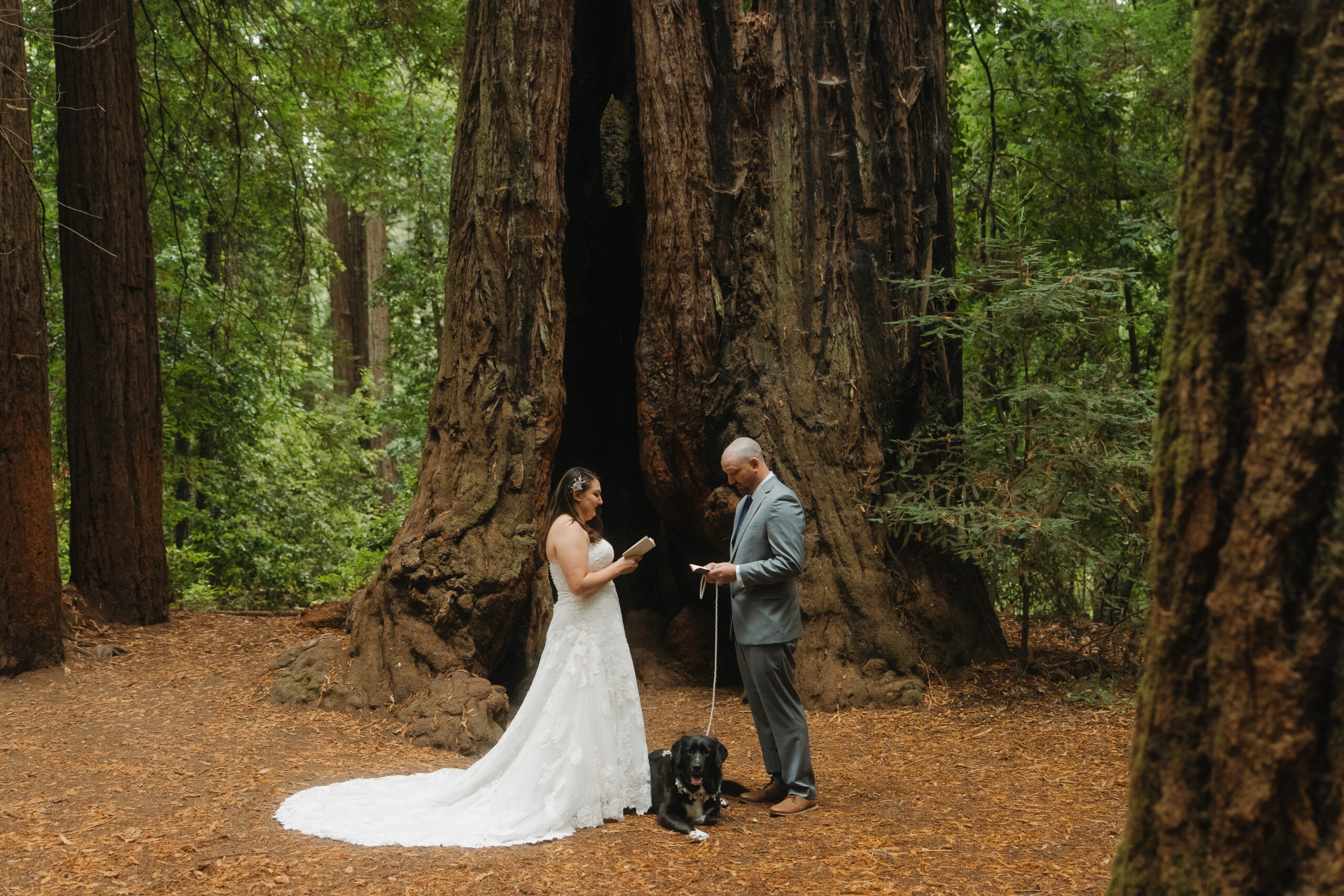 Redwoods Elopement with Dog