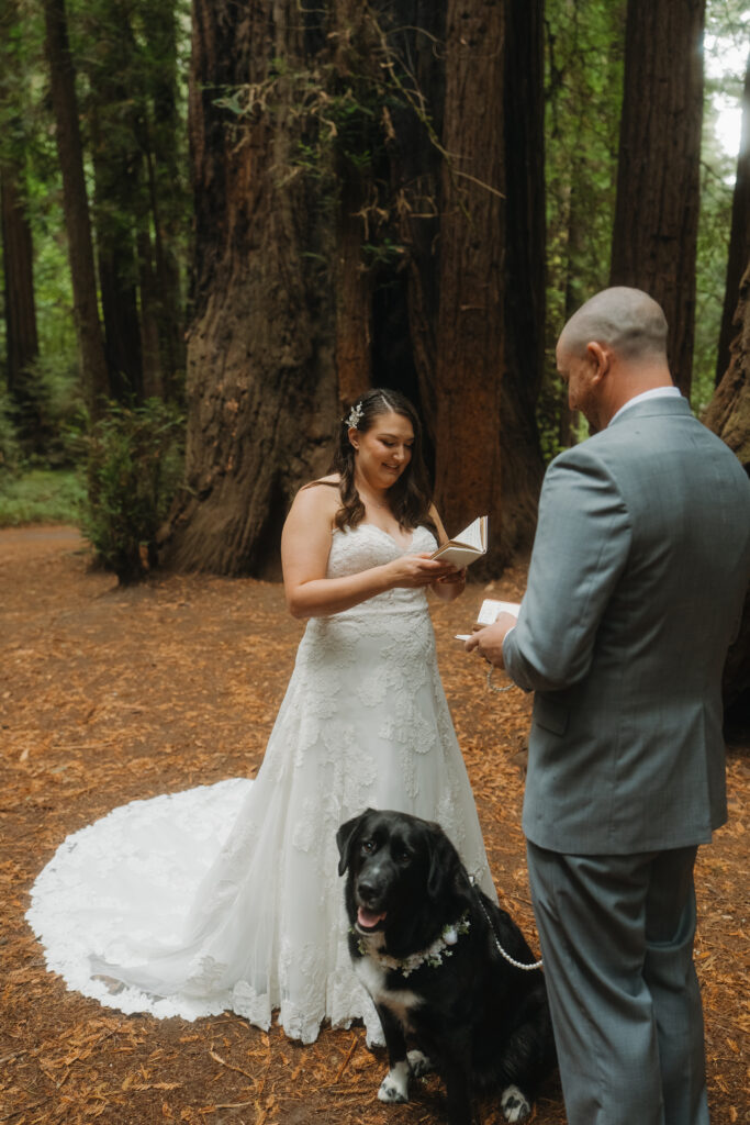 redwoods dog elopement