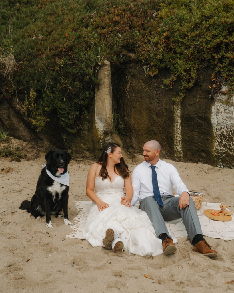 santa cruz elopement with dog