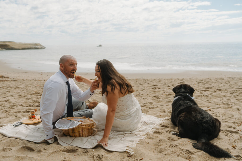 santa cruz elopement with dog
