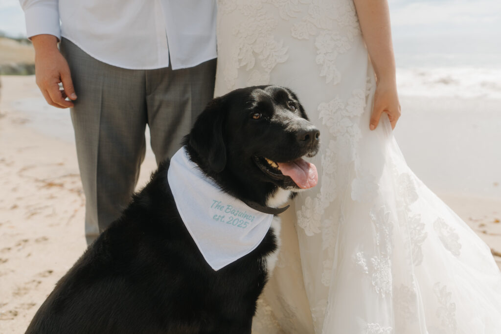 santa cruz elopement with dog