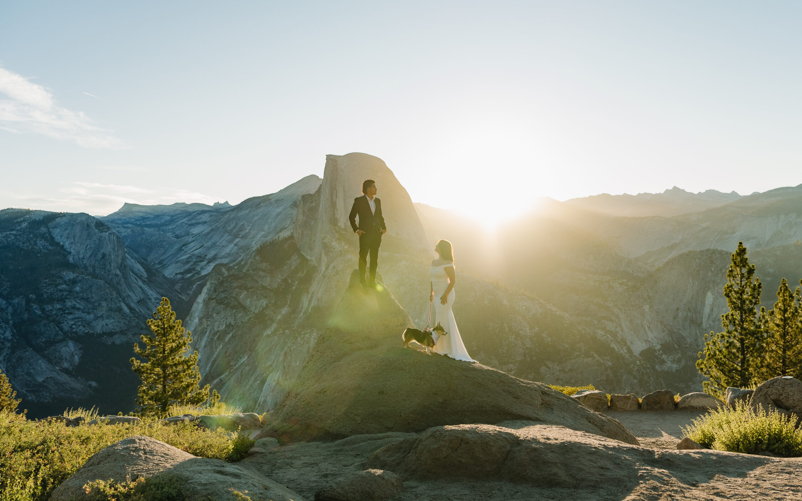 Yosemite Dog Elopement