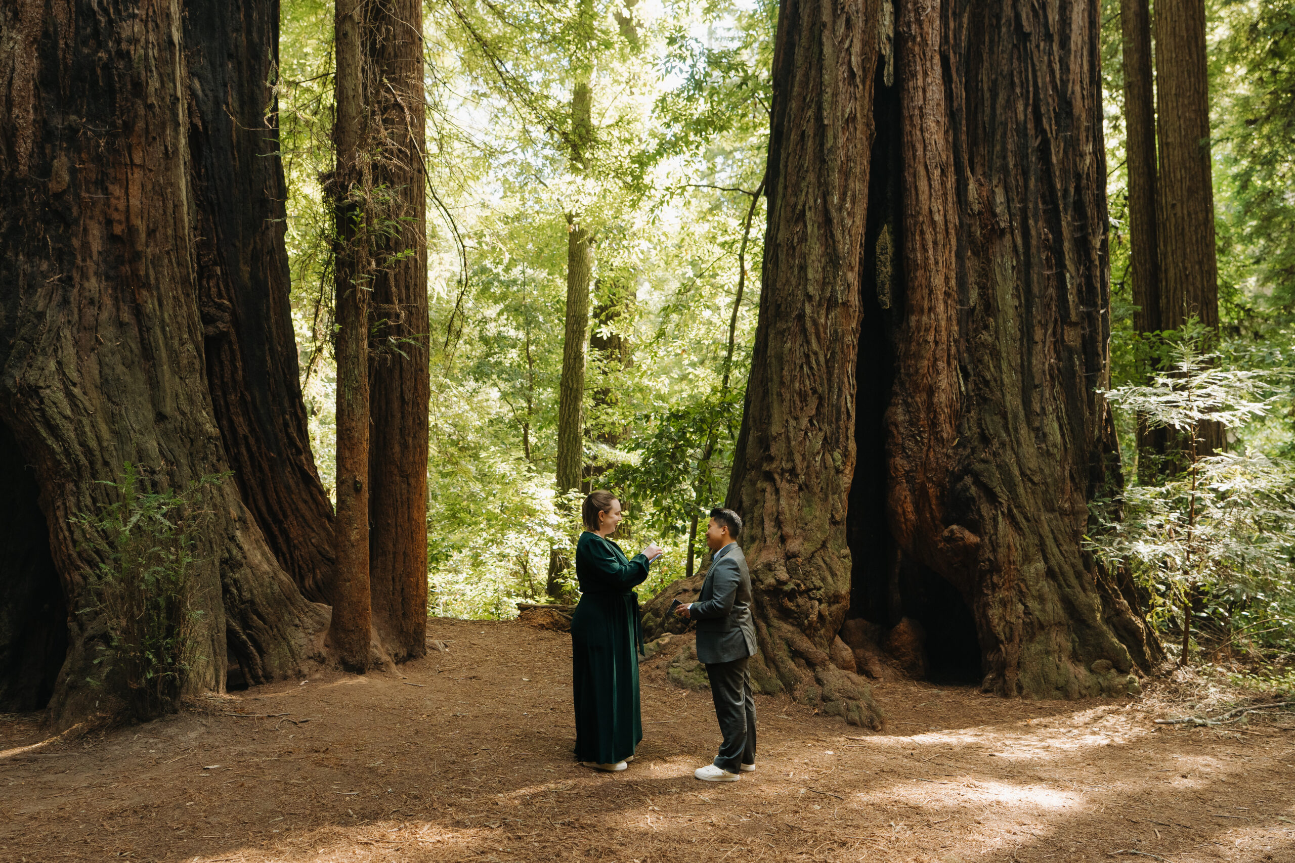 Redwoods Big Sur Elopement