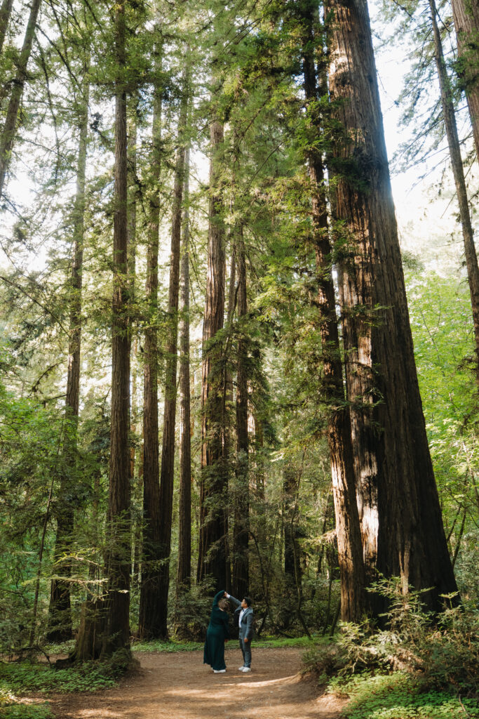 Santa Cruz Redwoods Elopement