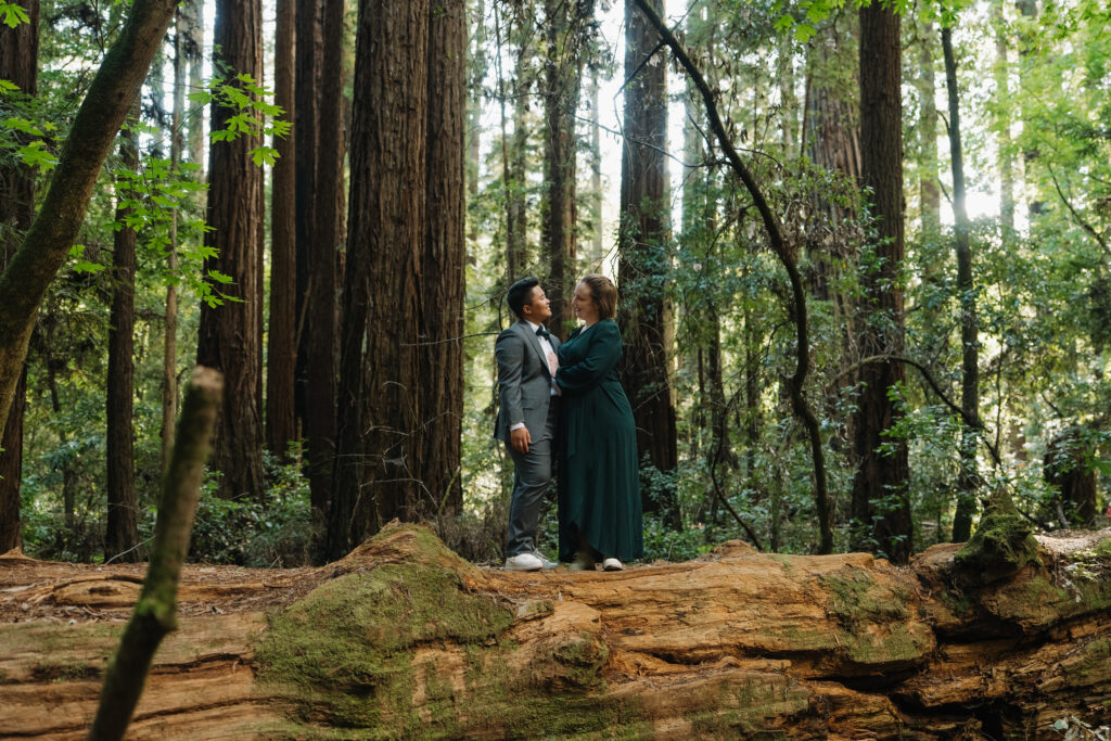 Henry Cowell Redwoods Elopement