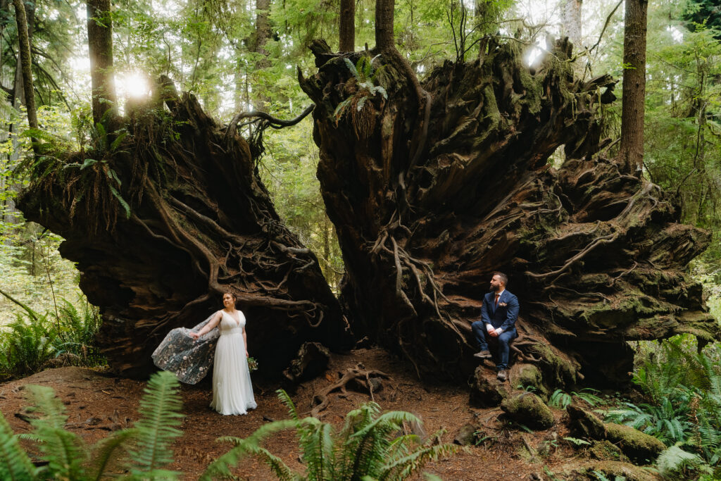 Redwoods Elopement by Uprooted Fallen Tree